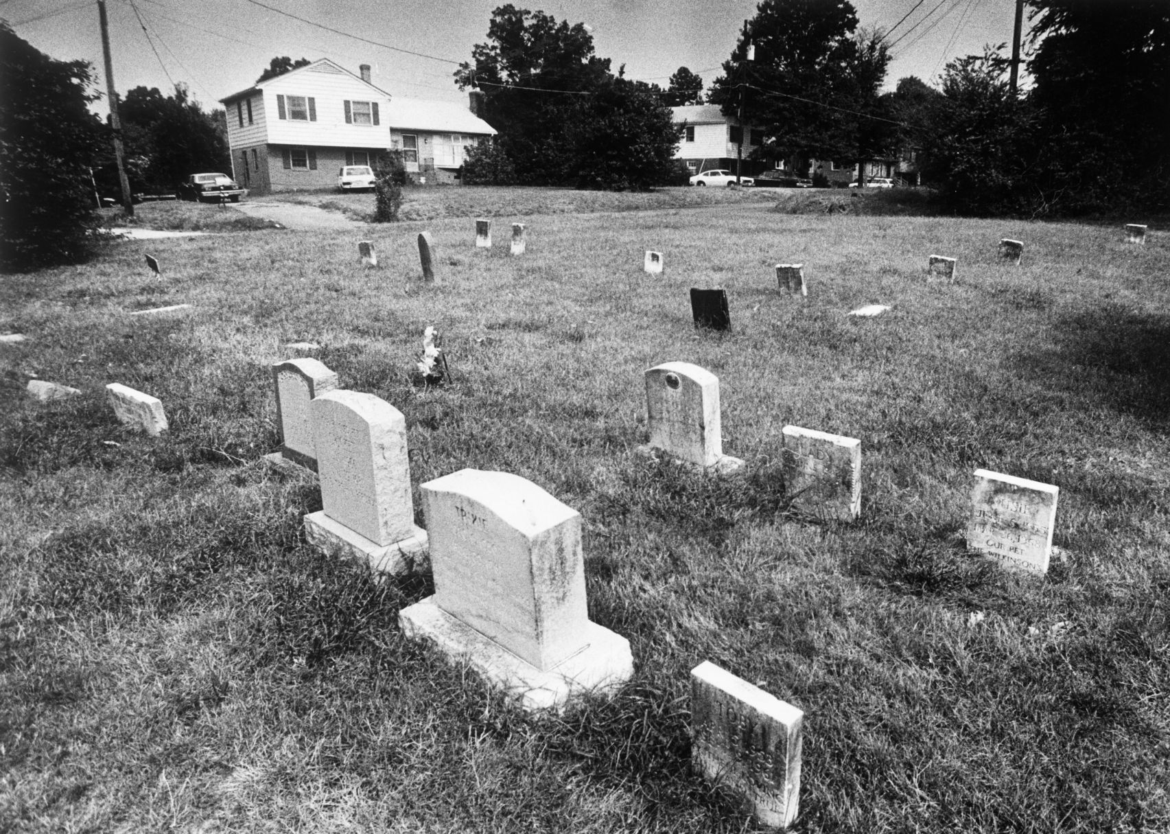 Pet Cemetery